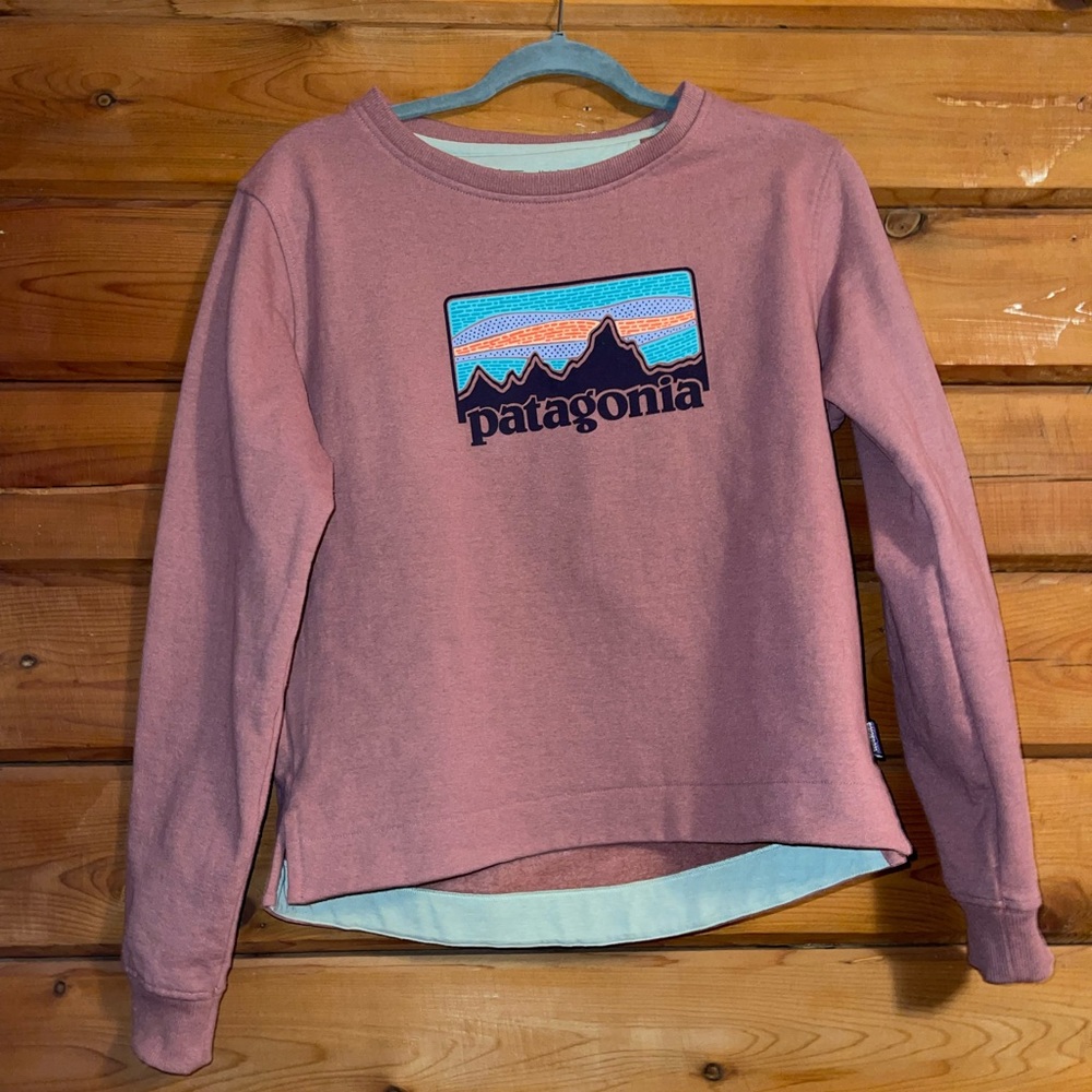 Patagonia Sweatshirt
